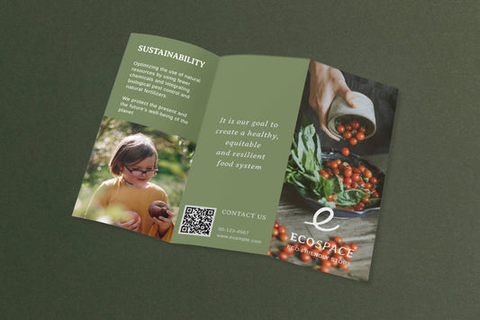 Tri-Fold Brochures