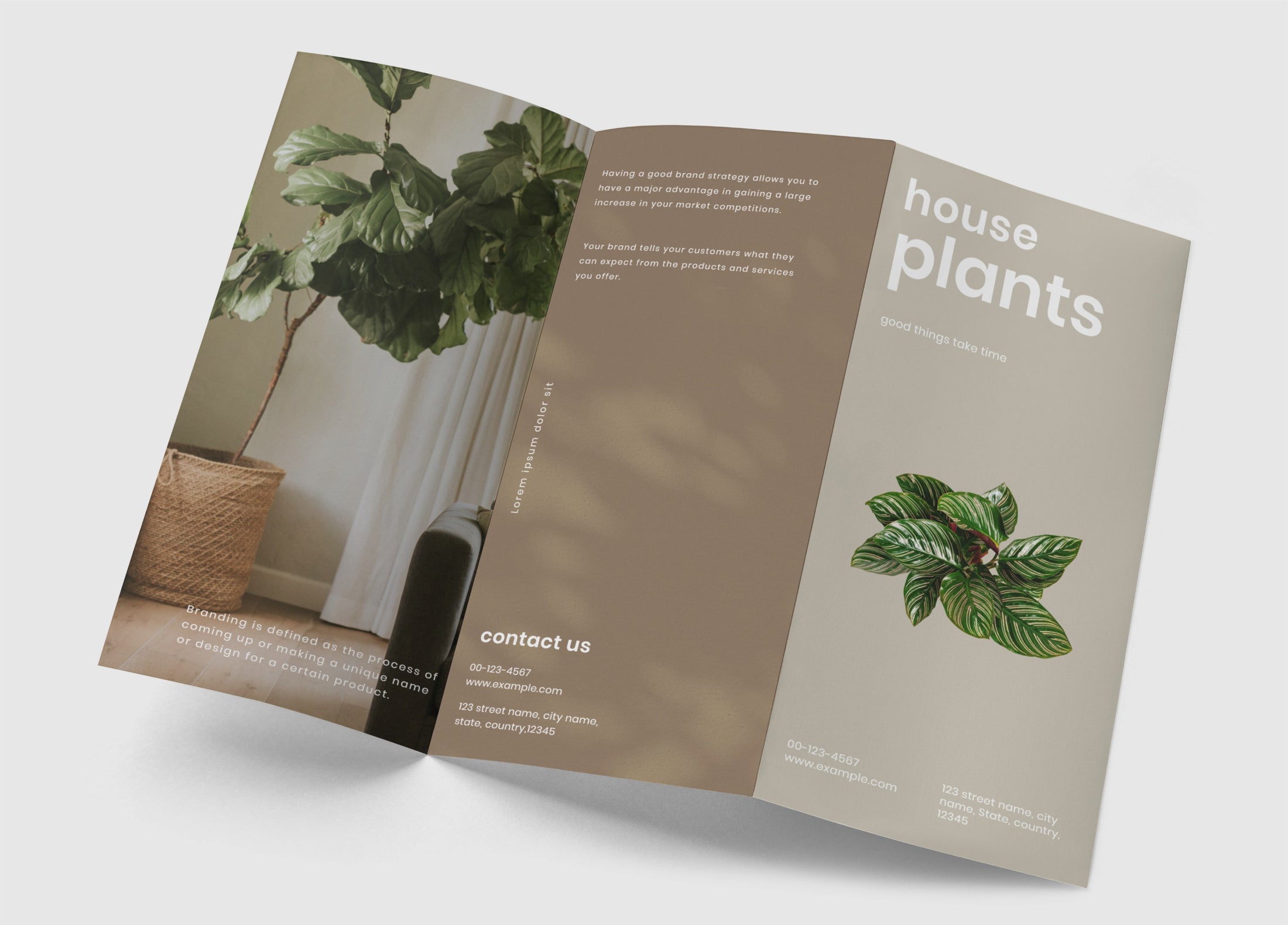 Tri-Fold Brochures