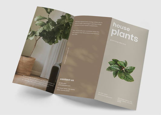 Tri-Fold Brochures