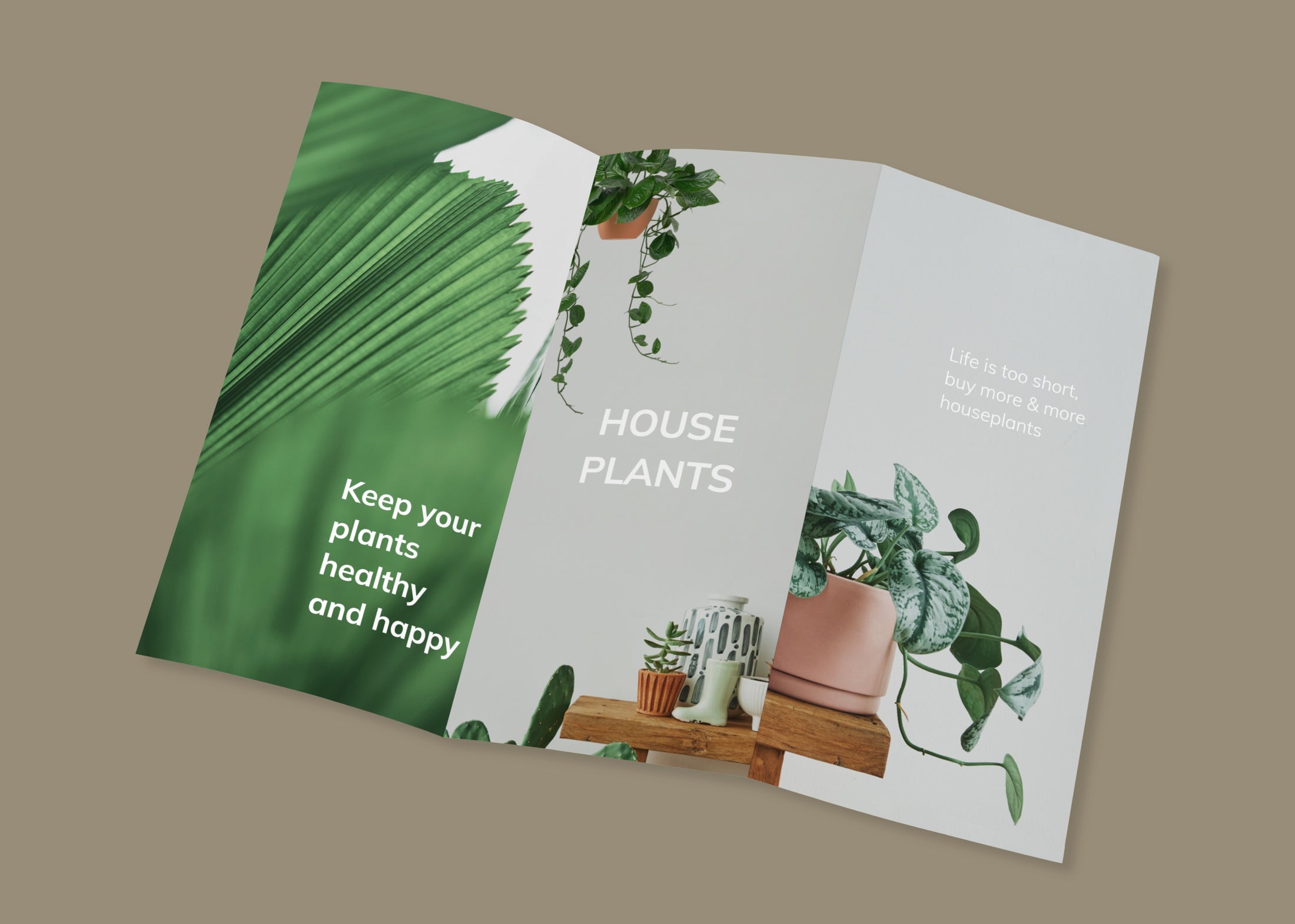 Tri-Fold Brochures