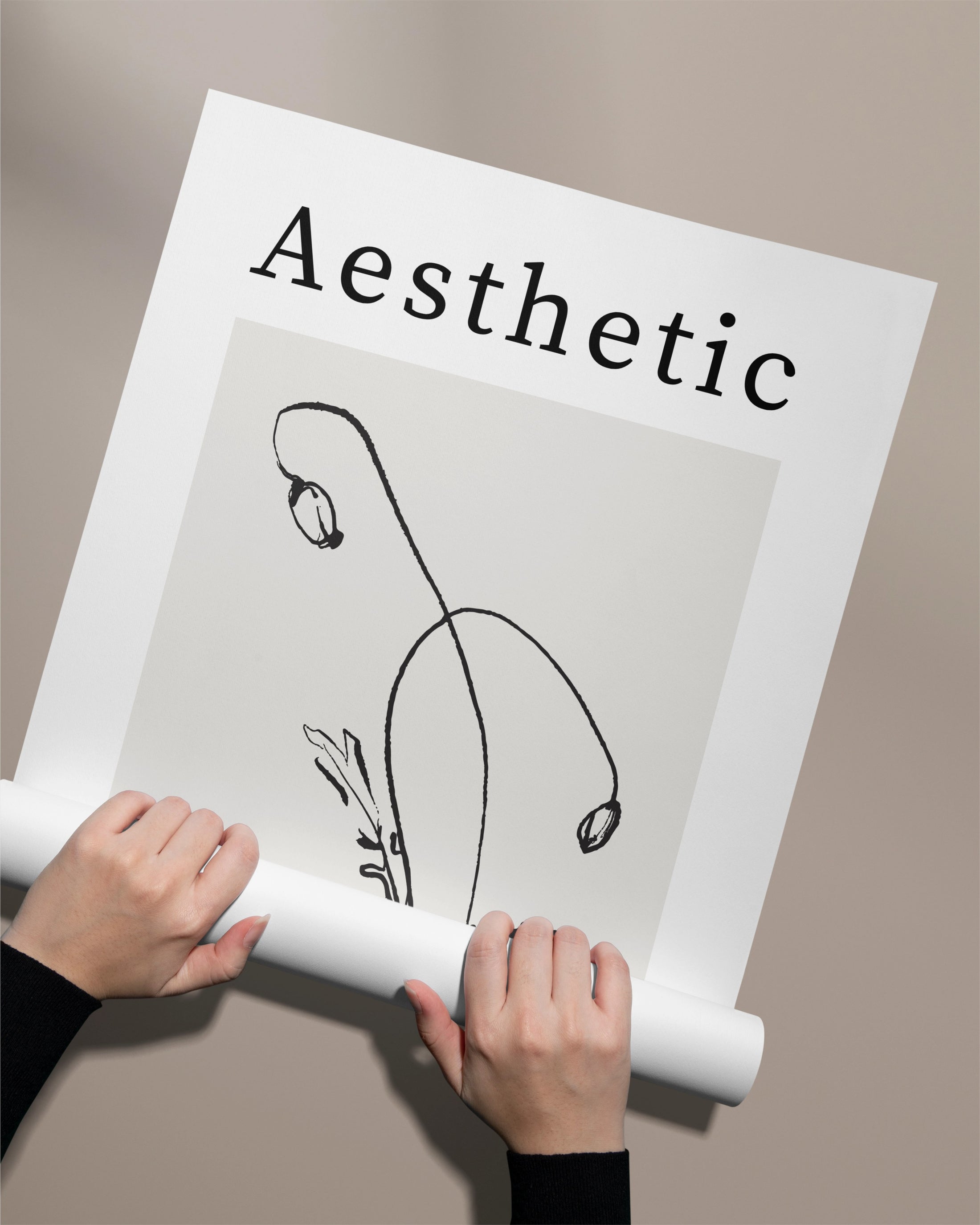 Posters